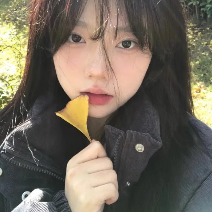少林小子